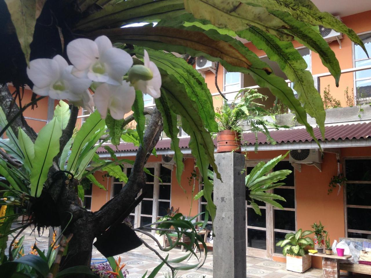 Canggu Pinpoint Rooms Εξωτερικό φωτογραφία